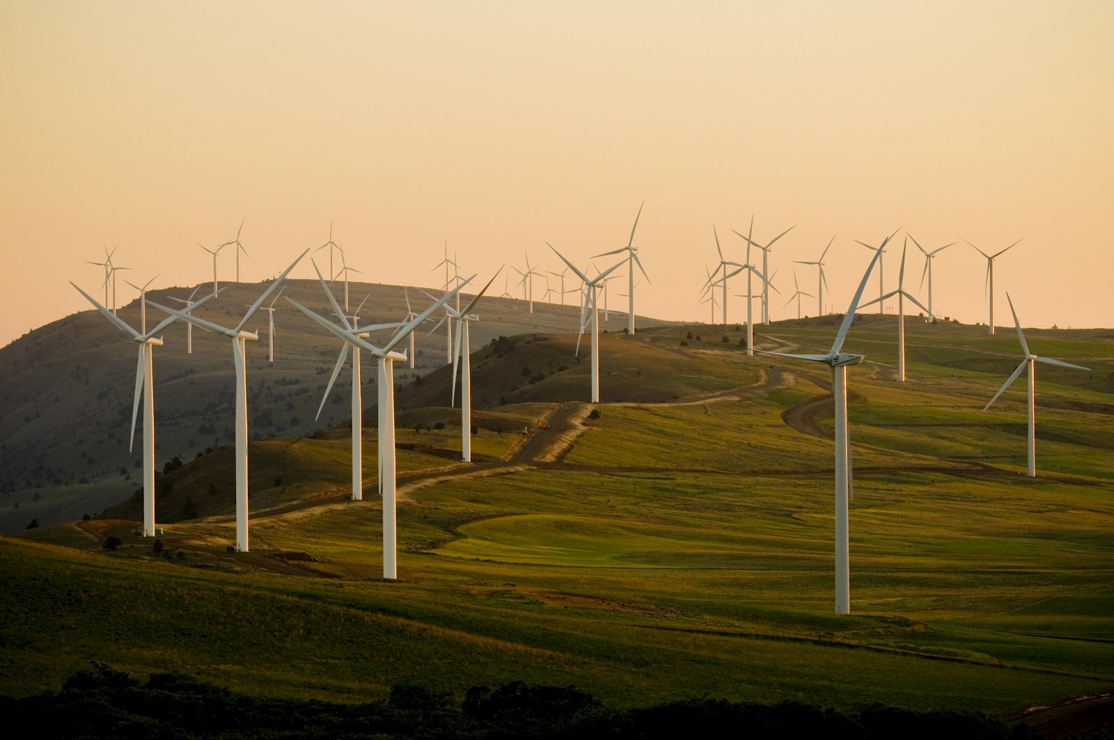 Image d'illustration — un parc d'éoliennes, symbole du marché du reporting climatique sur lequel se positionnent Greenly et Normative.