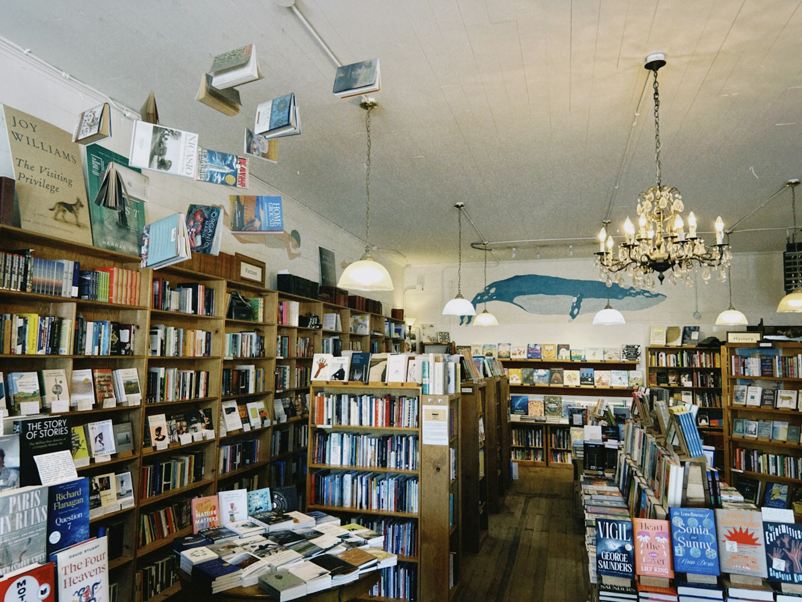 Image d'illustration — intérieur de librairie indépendante ; la photo n'illustre pas un magasin du groupe Nosoli