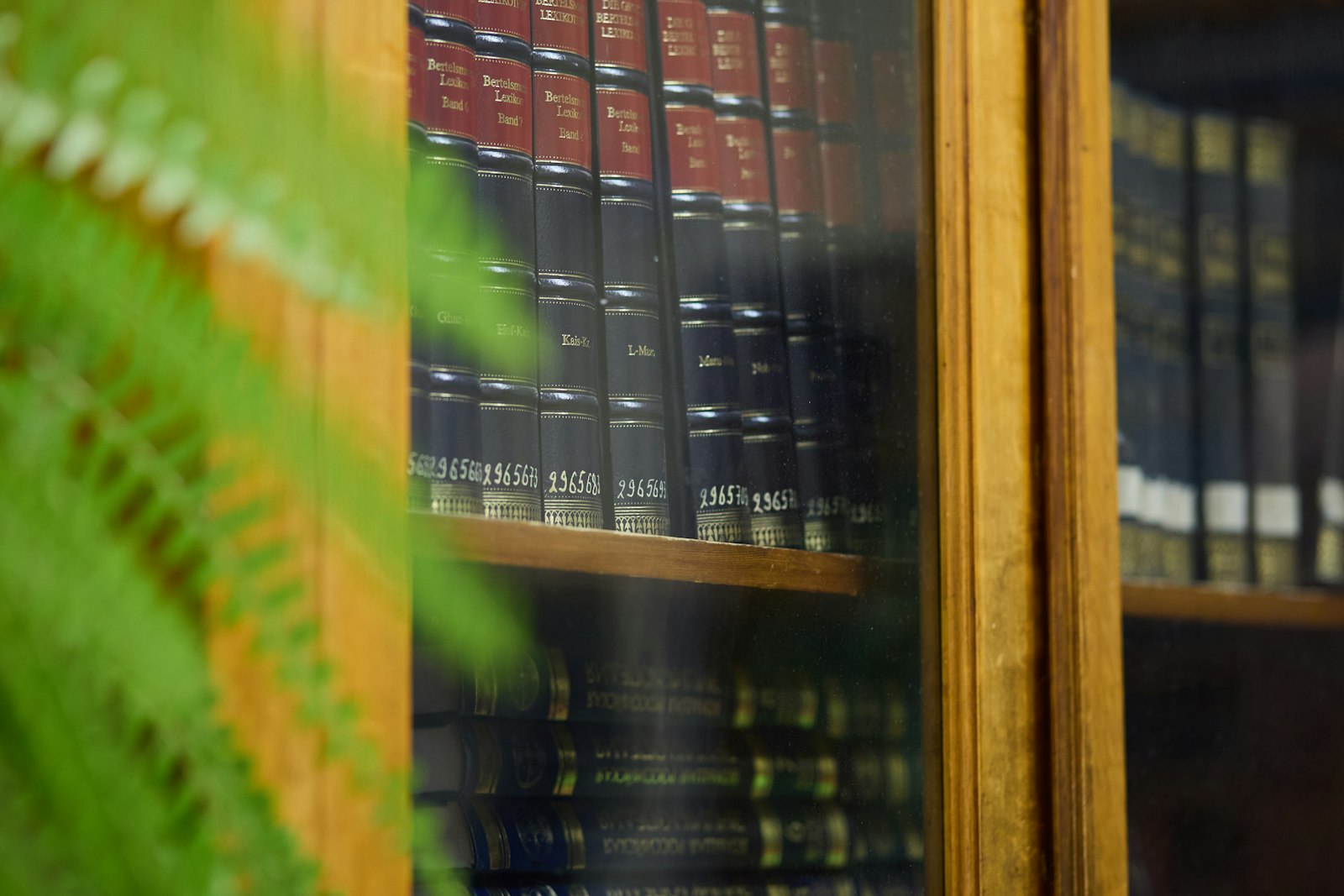 Image d'illustration — les rayonnages d'une bibliothèque. Avec Lexbase, Septeo met la main sur l'une des plus riches bases de doctrine et de jurisprudence de France.